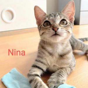 Nina 