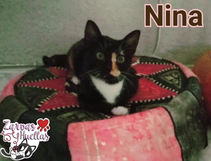 Nina